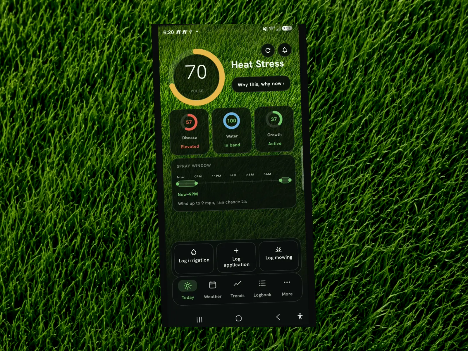 Lawn Ledger's Today screen on an Android phone lying on healthy turf: the day's watering call, weather strip, and zone cards.